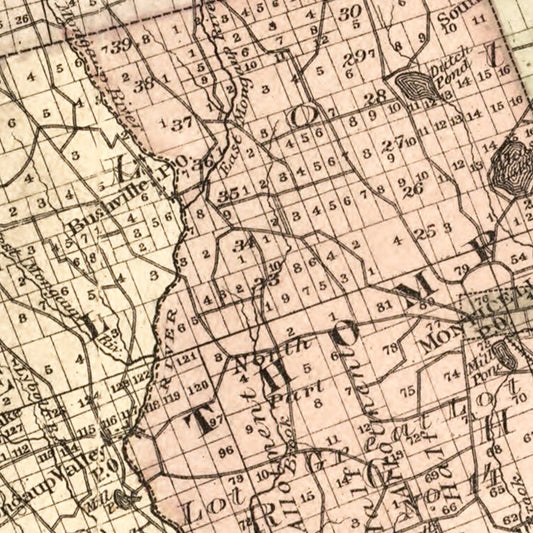 Vintage Map of Sullivan County, New York, 1875