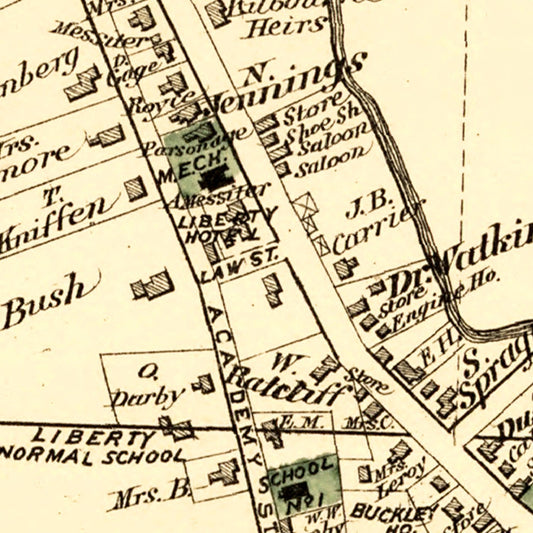 Vintage Map of Liberty Township, New York, 1875
