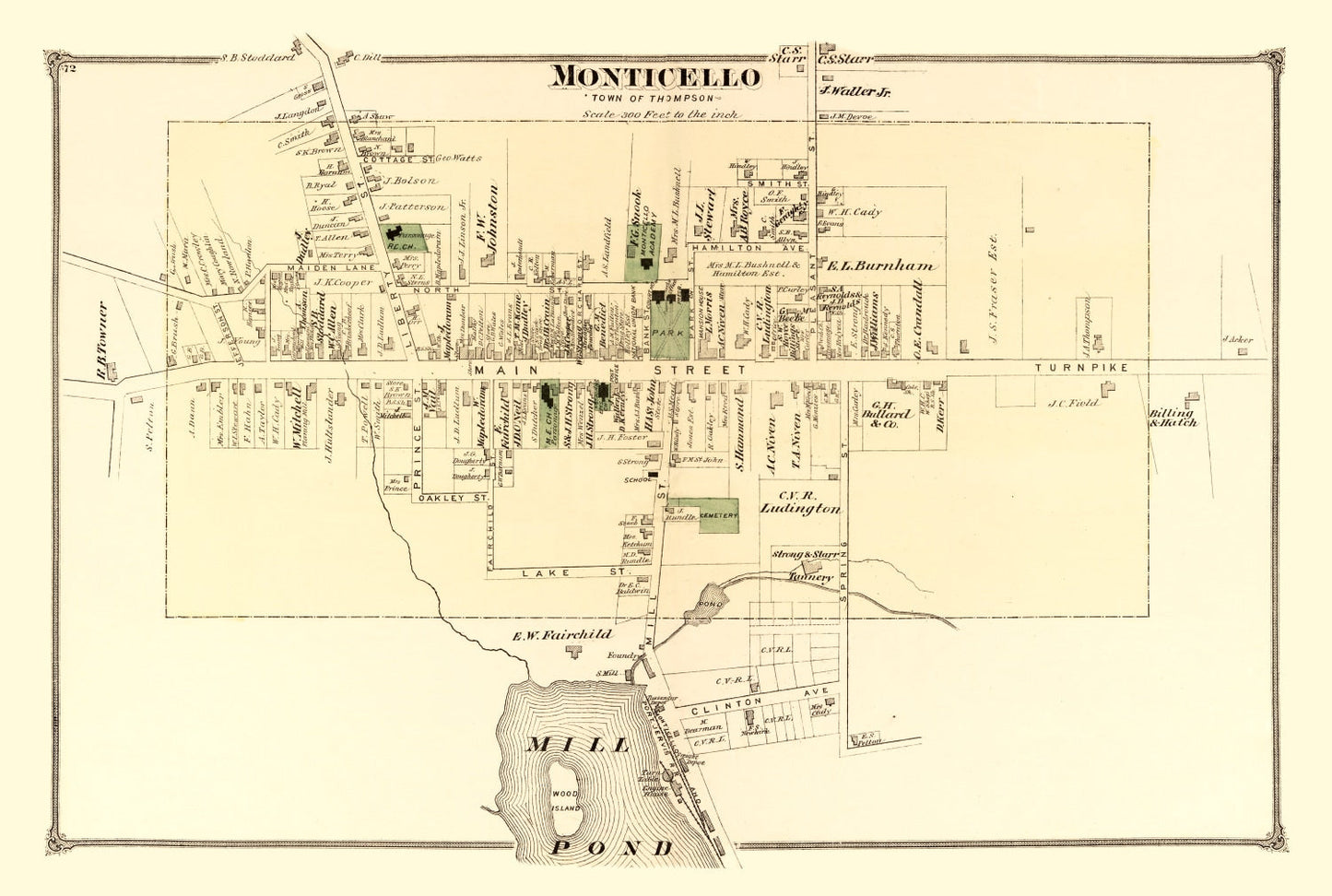 Vintage Map of Monticello Township, New York, 1875