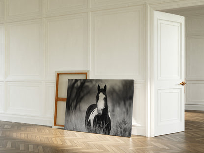 Wild Hearts Run Free Black and White Horse Wall Art