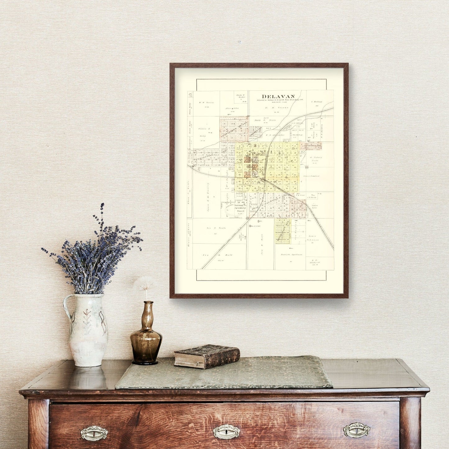 Vintage Map of Delavan, Illinois, 1891