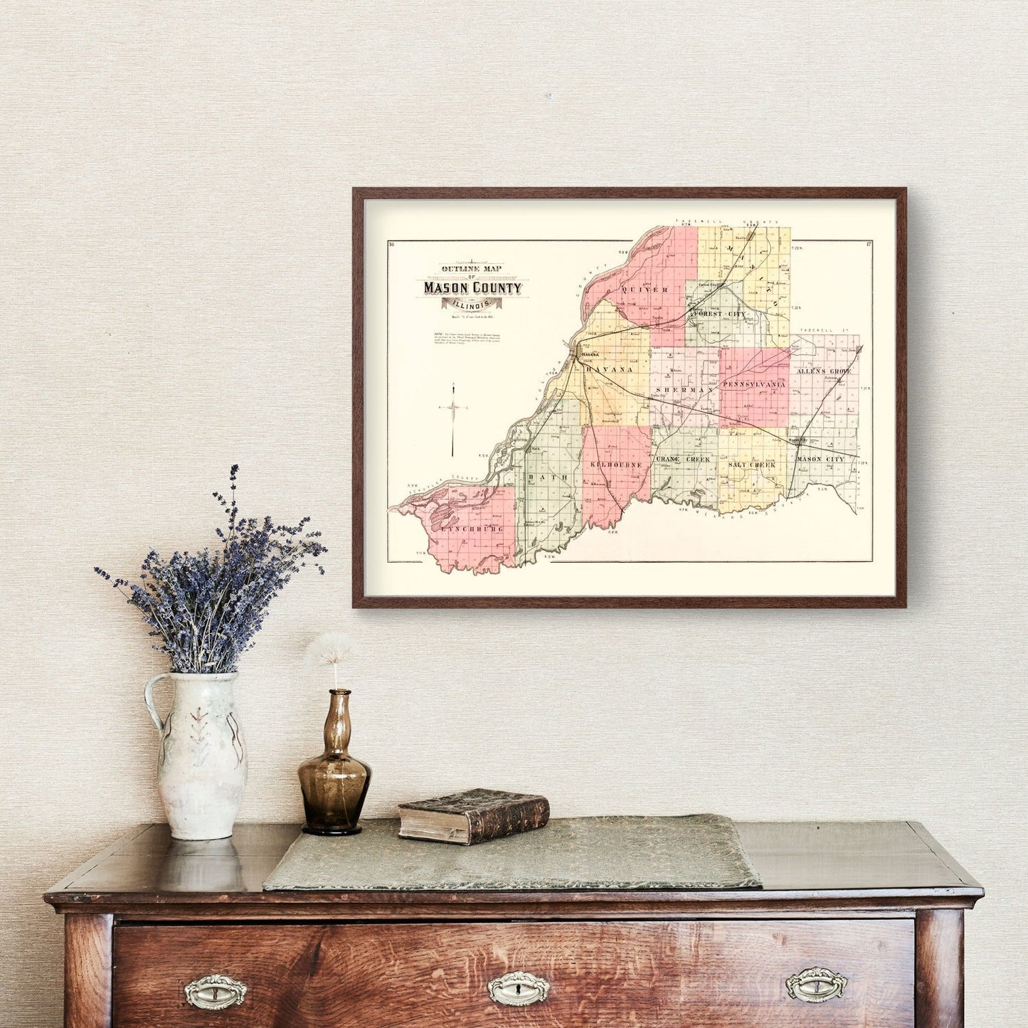 Vintage Map of Mason County, Illinois, 1891