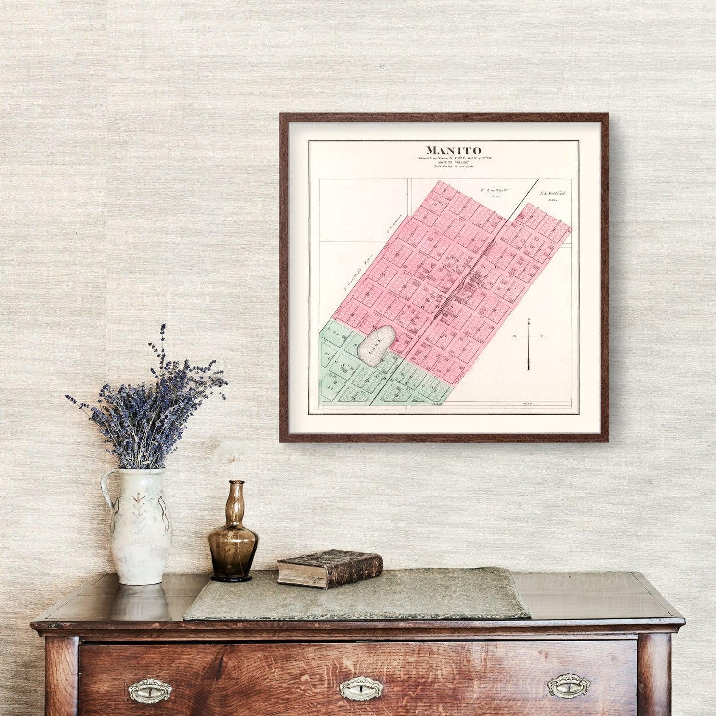 Vintage Map of Manito, Illinois, 1891