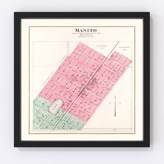 Vintage map of Manito, Illinois, 1891