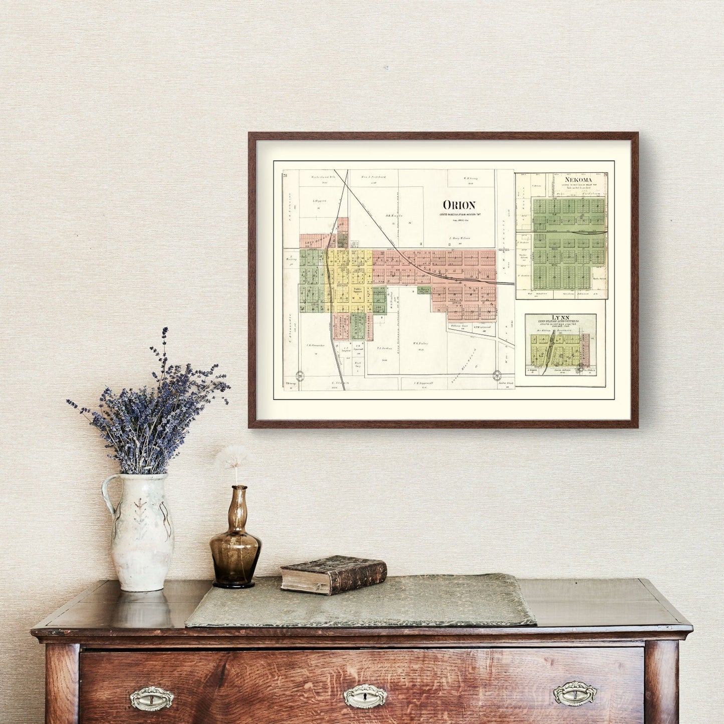 Vintage Map of Orion, Illinois, 1893