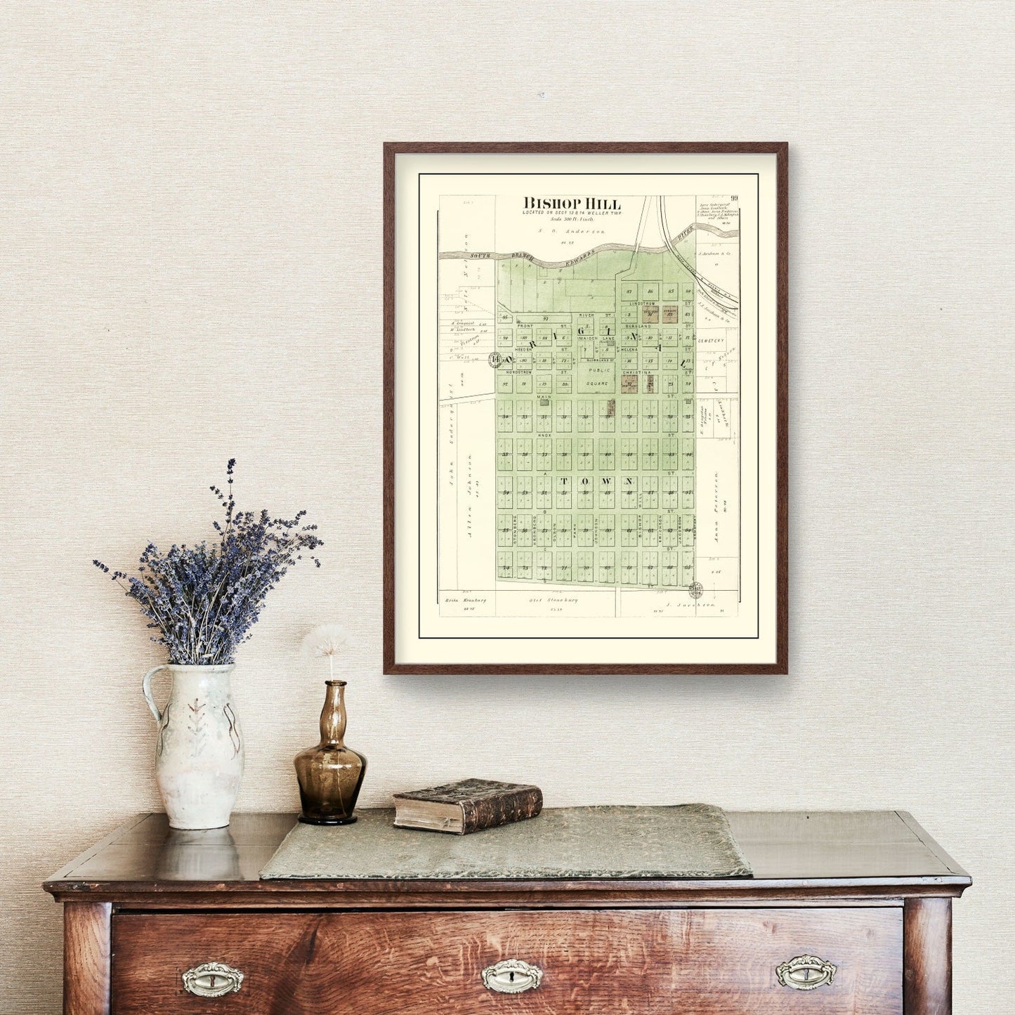 Vintage Map of Bishop Hill, Illinois, 1893