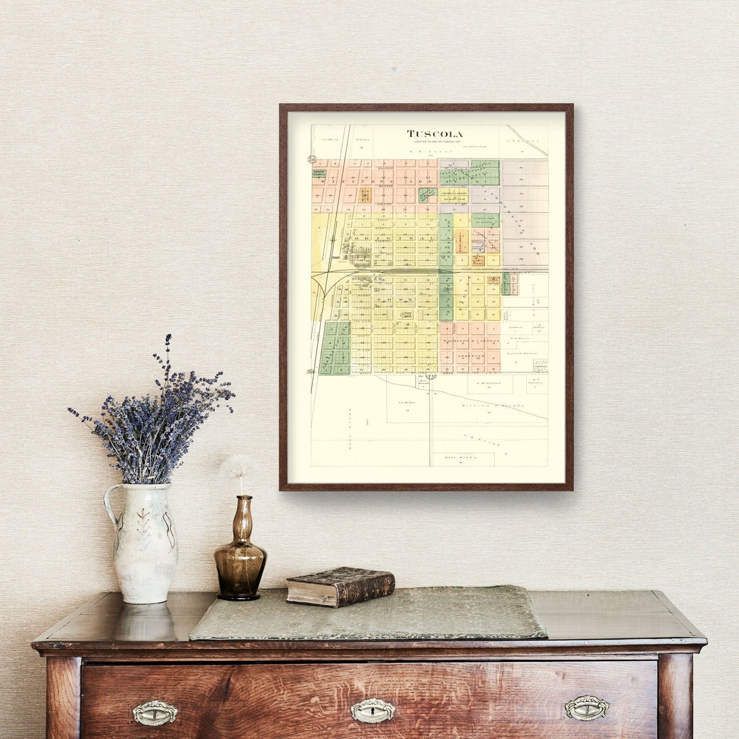 Vintage Map of Tuscola, Illinois, 1893