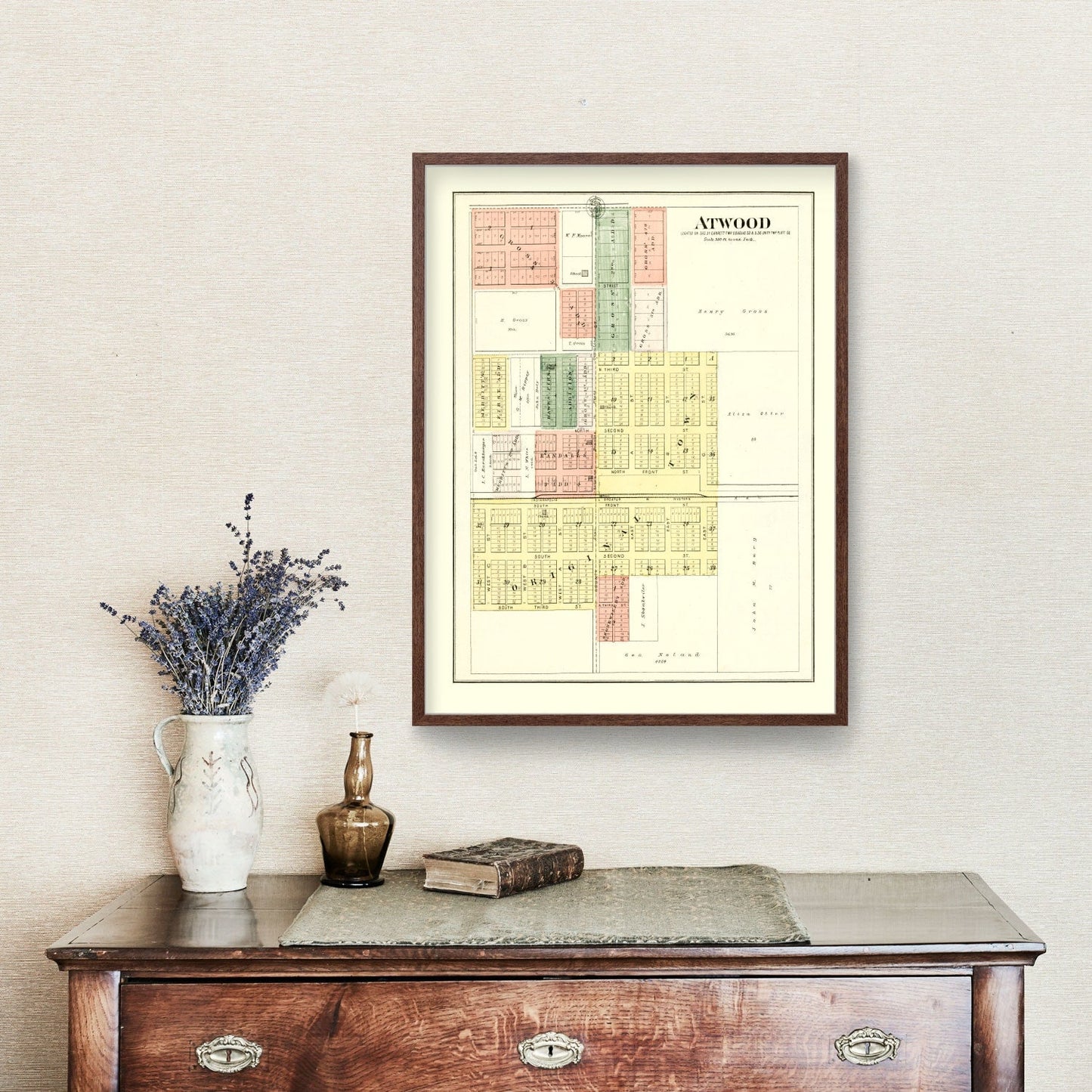 Vintage Map of Atwood, Illinois, 1893