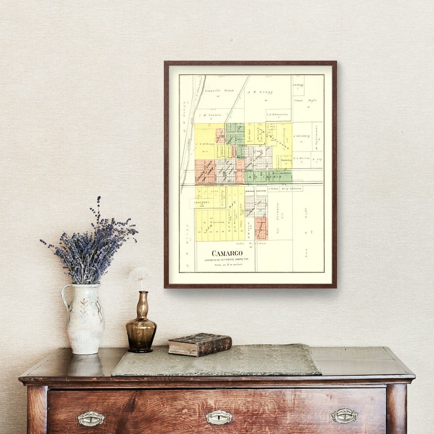Vintage Map of Camargo, Illinois, 1893 | Wall Art