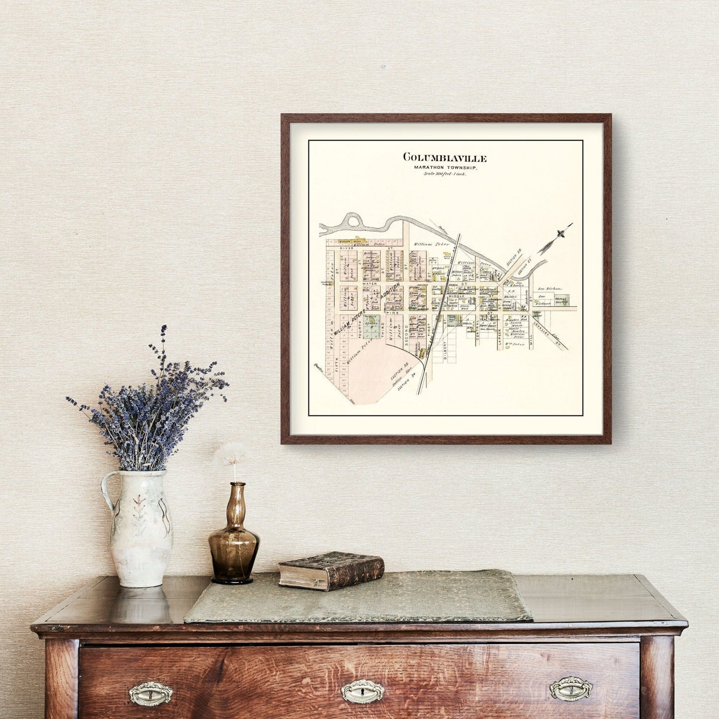 Vintage Map of Columbiaville, Michigan, 1893