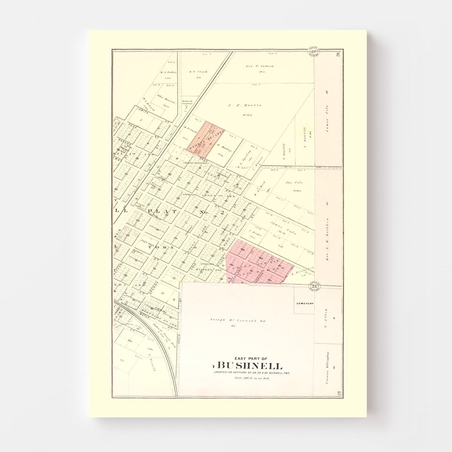 Vintage Map of Bushnell, Illinois, 1893 Wall Art