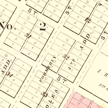 Vintage Map of Bushnell, Illinois, 1893 Wall Art