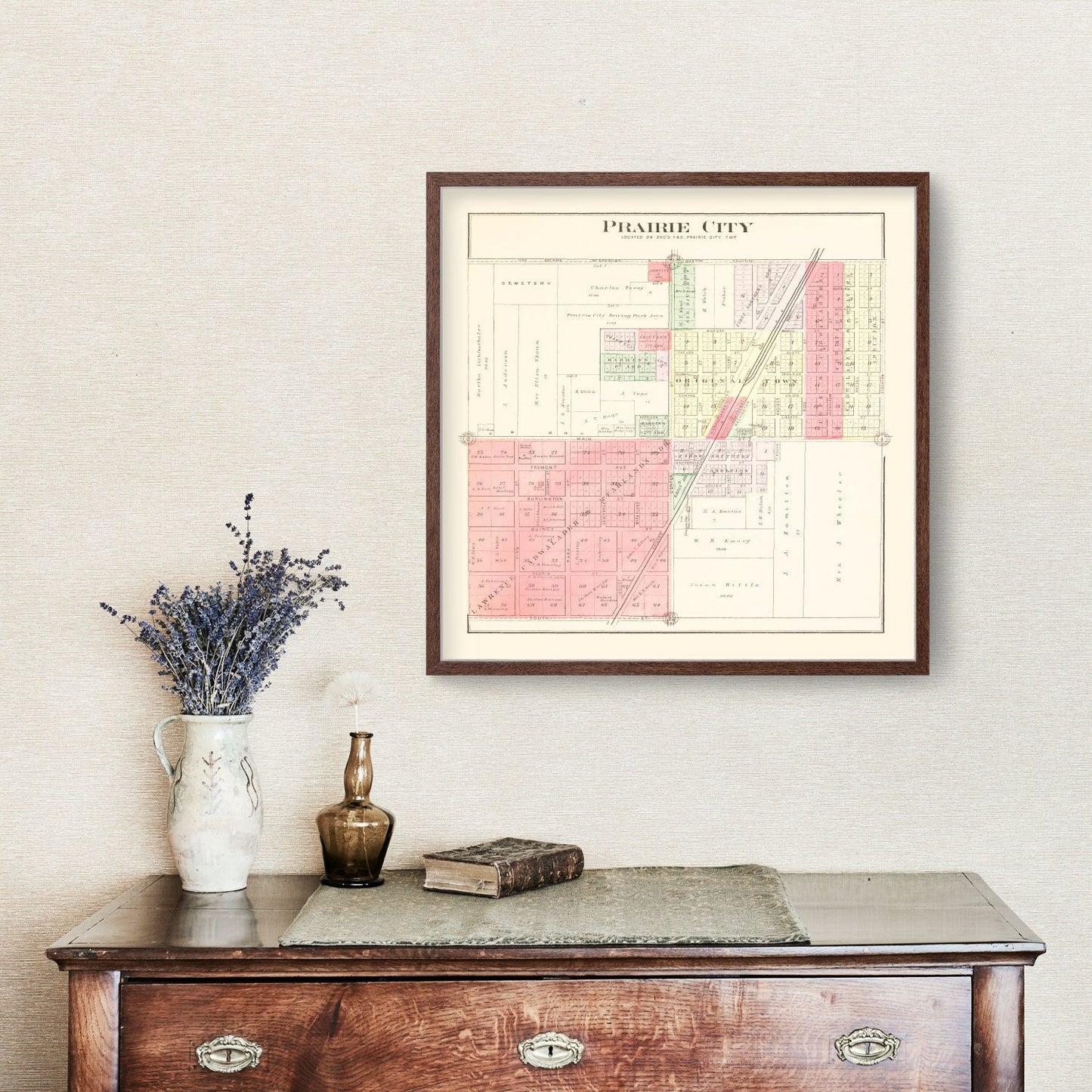 Vintage Map of Prairie City, Illinois, 1893