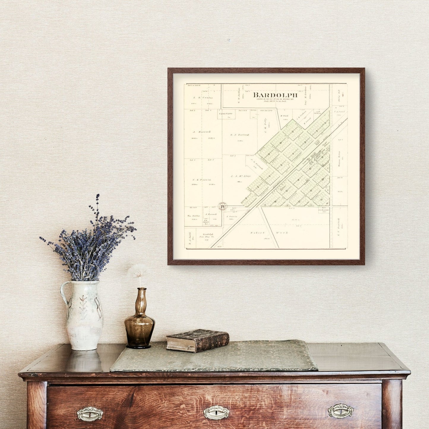 Vintage Map of Bardolph, Illinois, 1893