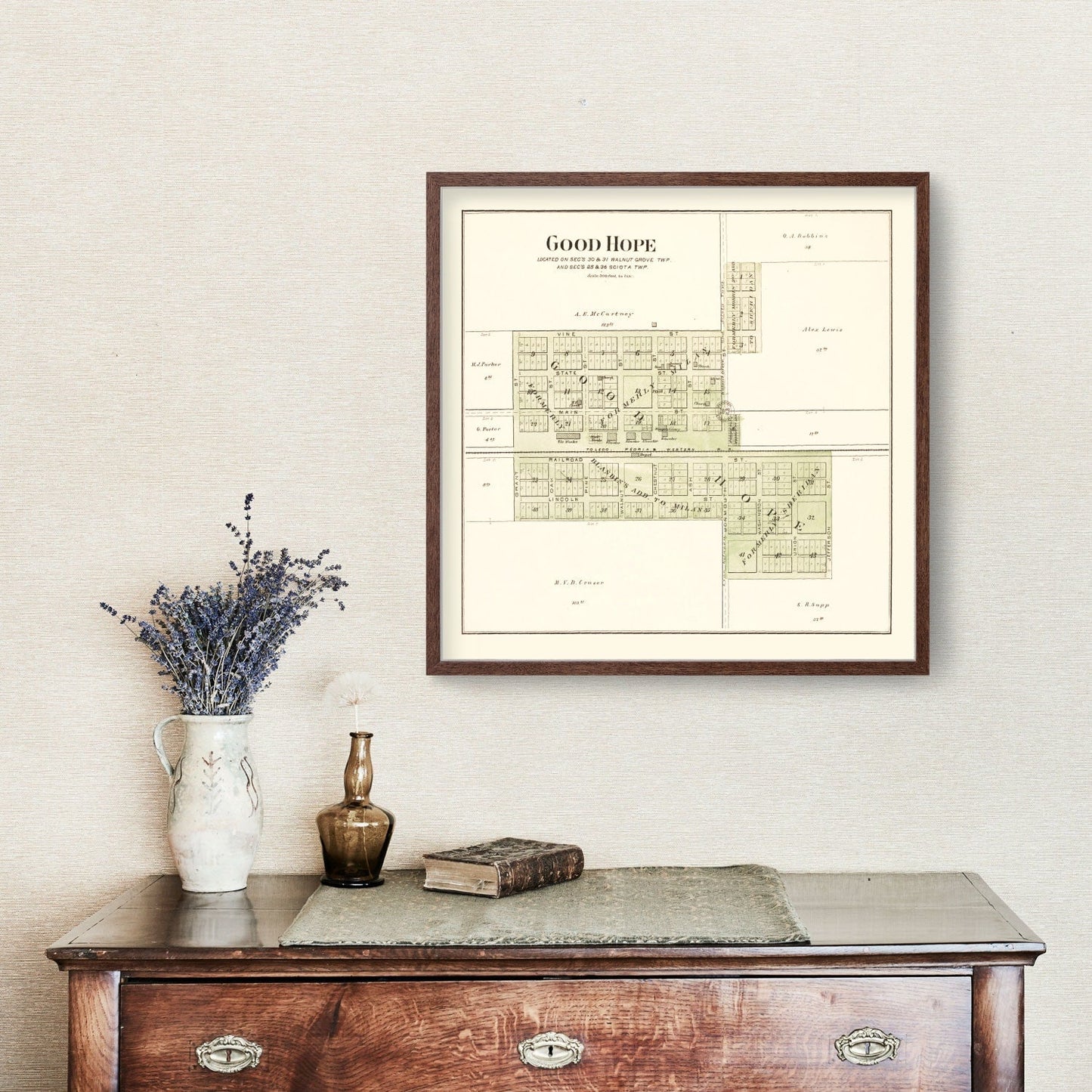 Vintage Map of Good Hope, Illinois, 1893