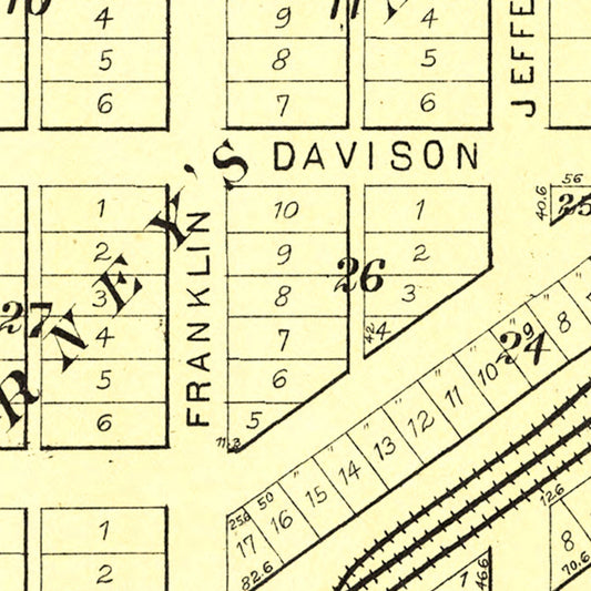 Vintage Map of Roanoke, Illinois, 1893