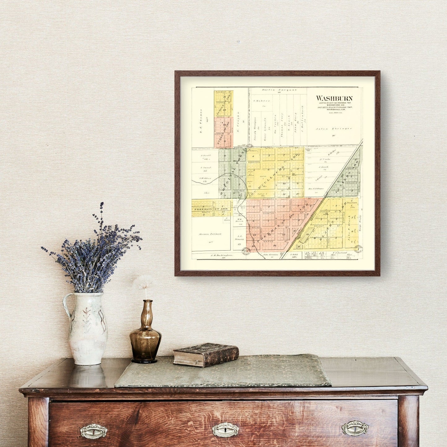 Vintage Map of Washburn, Illinois, 1893