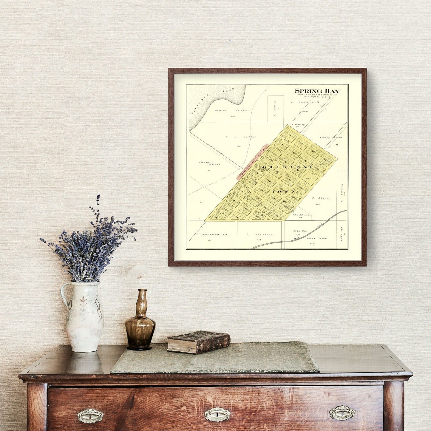 Vintage Map of Spring Bay, Illinois, 1893