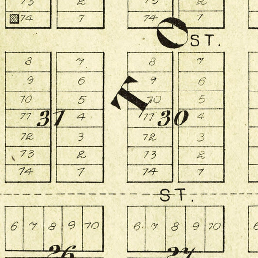 Vintage Map of Secor, Illinois, 1893
