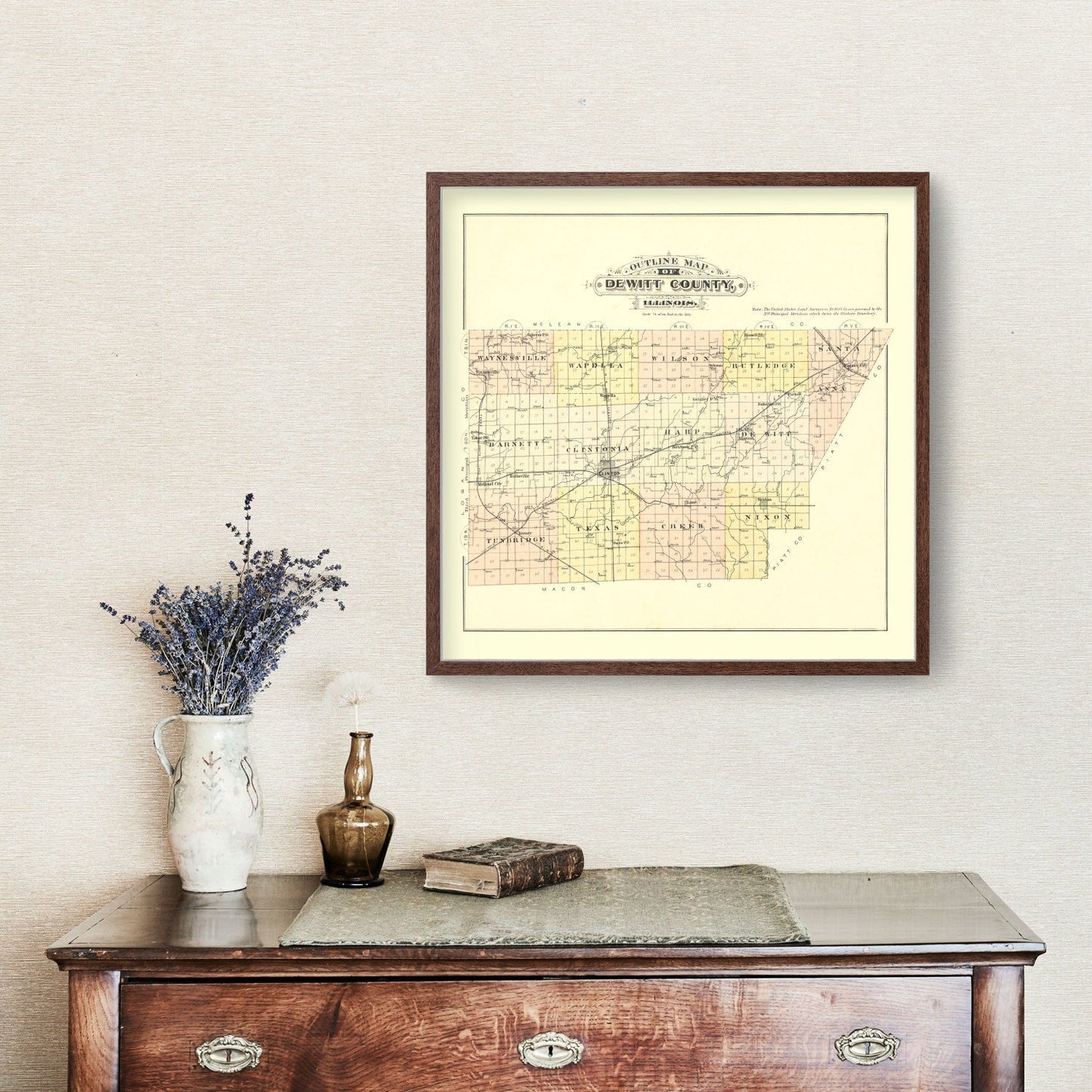 Vintage Map of De Witt County, Illinois, 1894