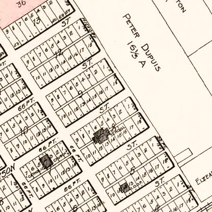 Vintage Map of Carrollton, Michigan, 1896