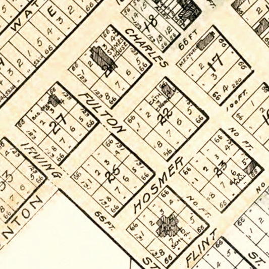 Vintage Map of Saint Charles, Michigan, 1896