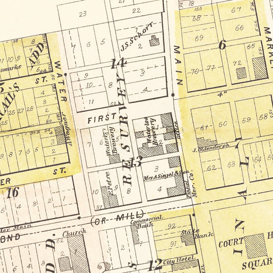Vintage Map of Waterloo, Illinois 1901