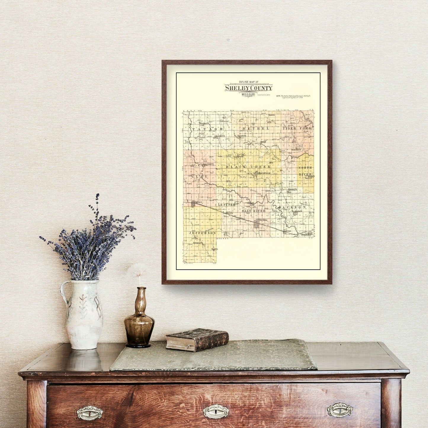 Vintage Map of Shelby County, Missouri, 1902