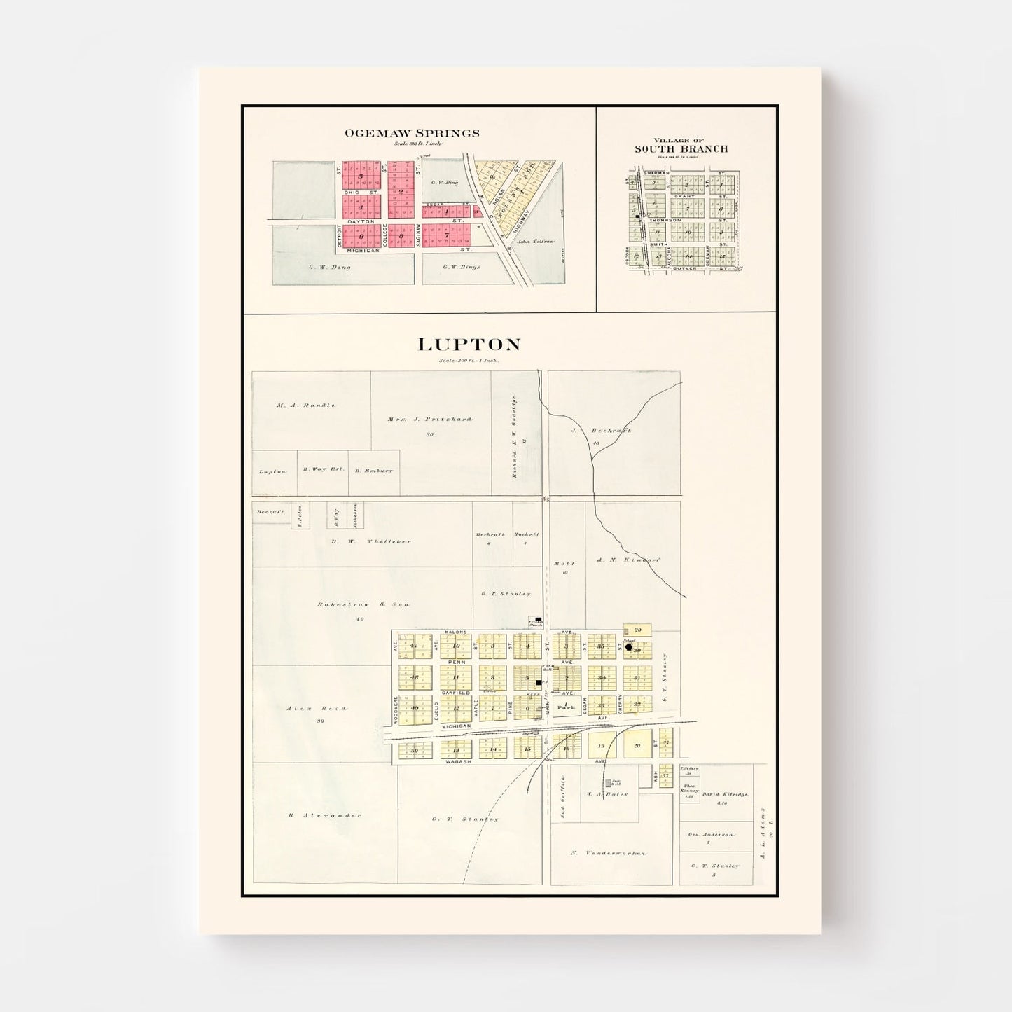 Vintage Map of South Branch, Michigan, 1903