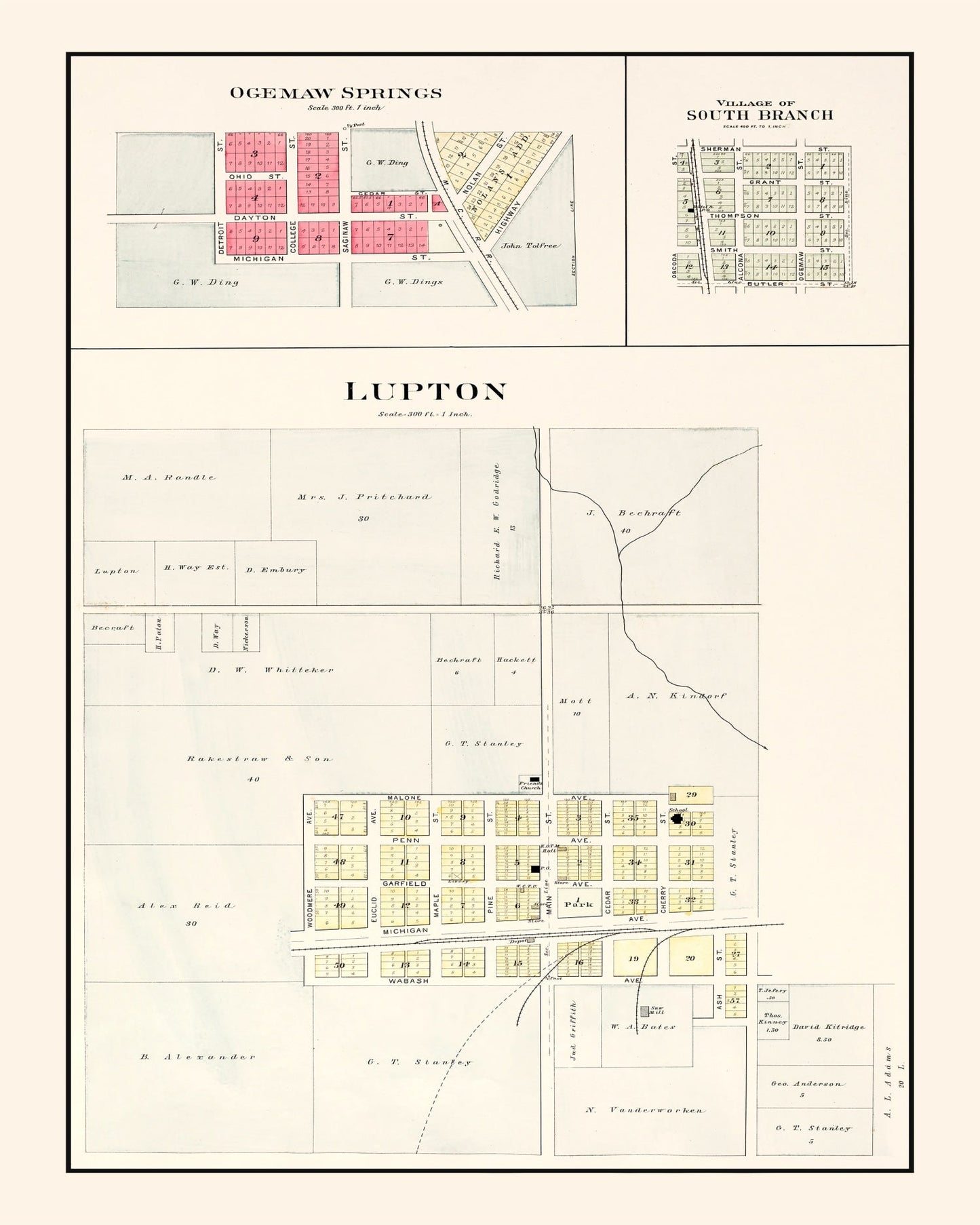 Vintage Map of South Branch, Michigan, 1903