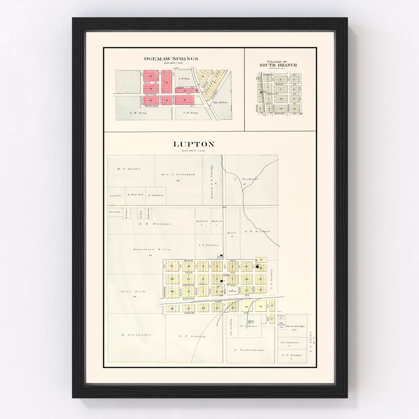 Vintage map of South Branch, Michigan, 1903