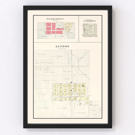 Vintage map of South Branch, Michigan, 1903