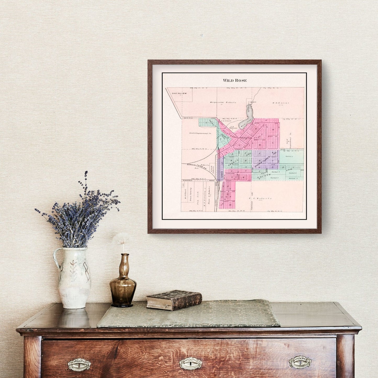Vintage Map of Wild Rose, Wisconsin, 1906