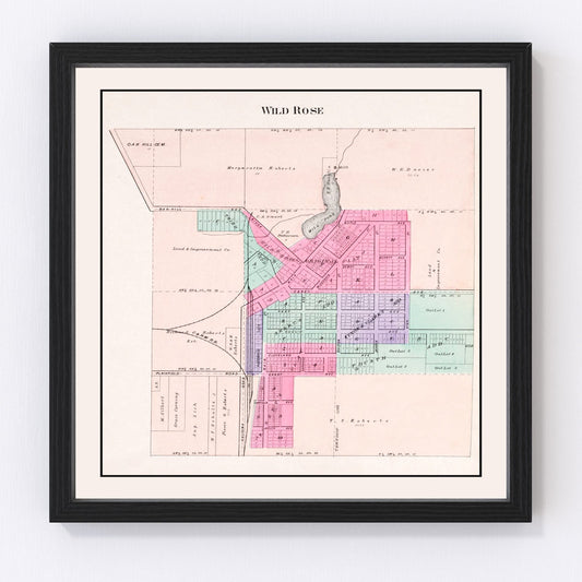 Vintage map of Wild Rose, Wisconsin, 1906, small town and Waushara County lakes