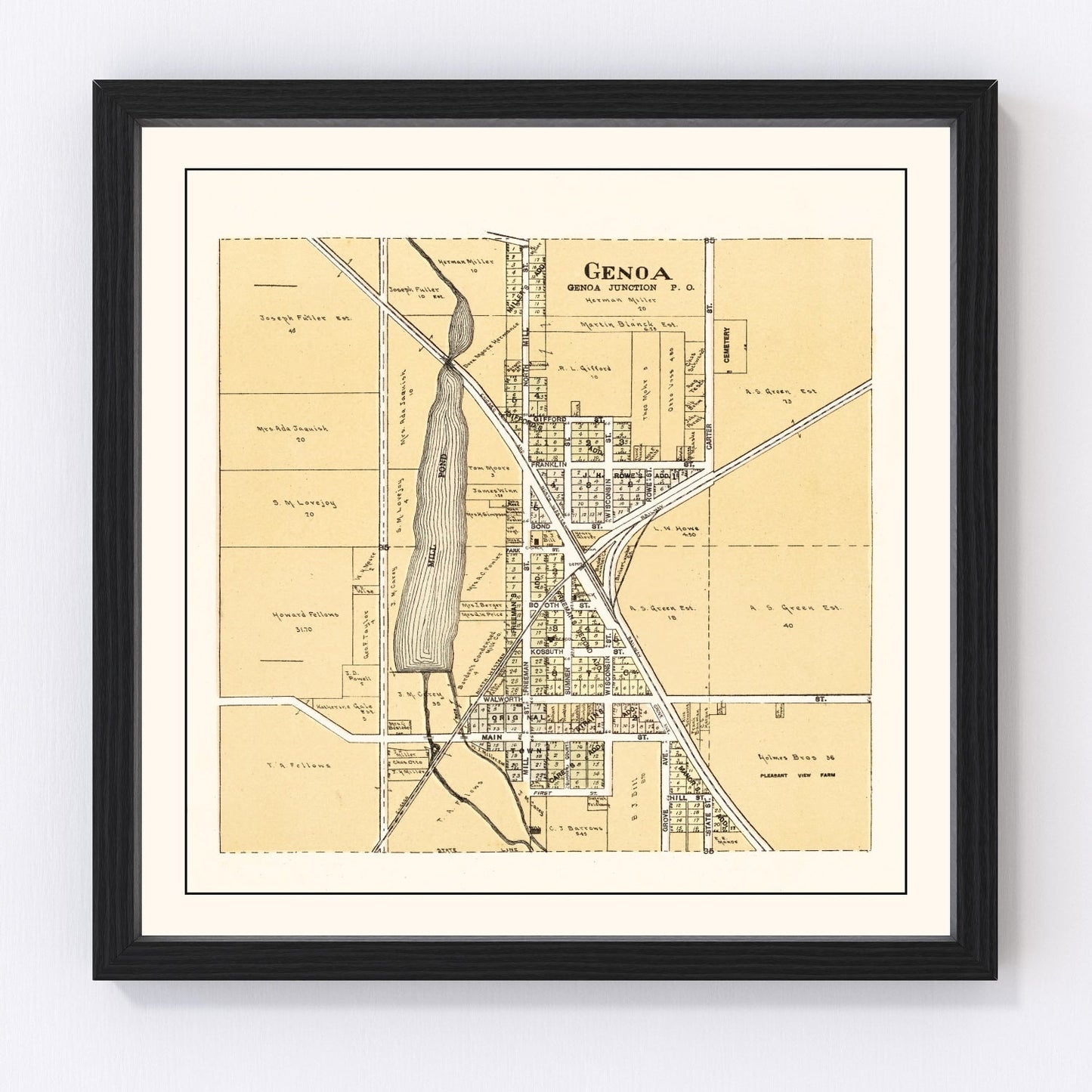 Vintage map of Genoa, Wisconsin, 1907