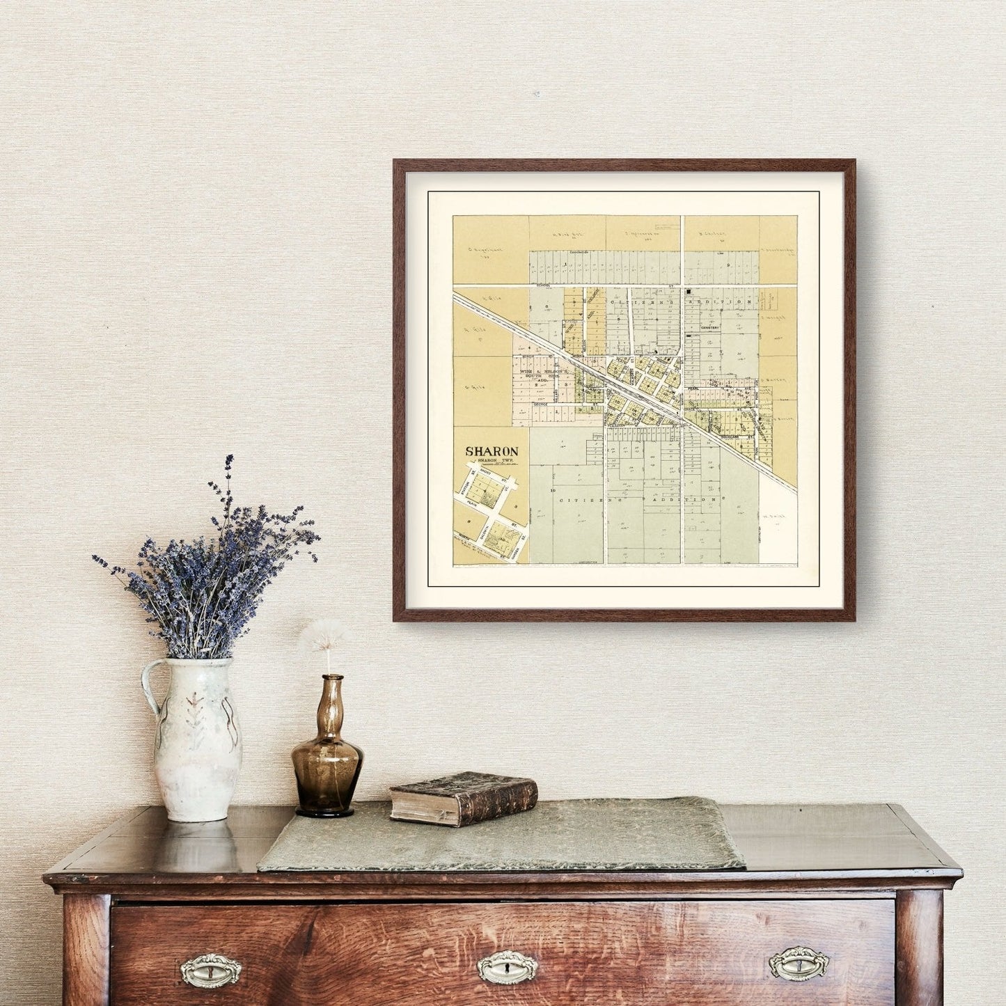 Vintage Map of Sharon, Wisconsin, 1907