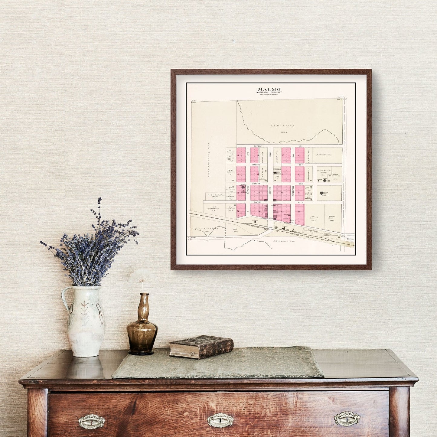 Vintage Map of Malmo, Nebraska, 1907