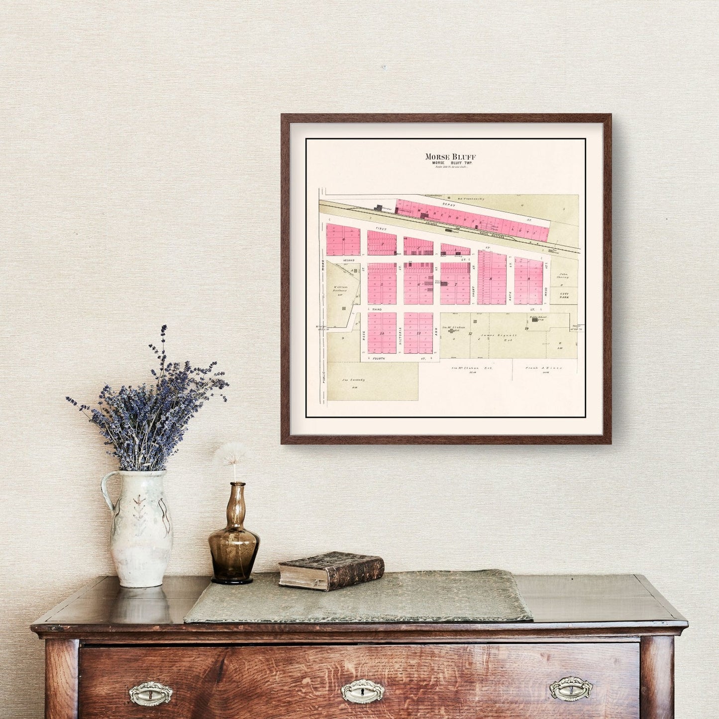 Vintage Map of Morse Bluff, Nebraska, 1907