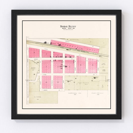 vintage map of Morse Bluff, Nebraska, 1907