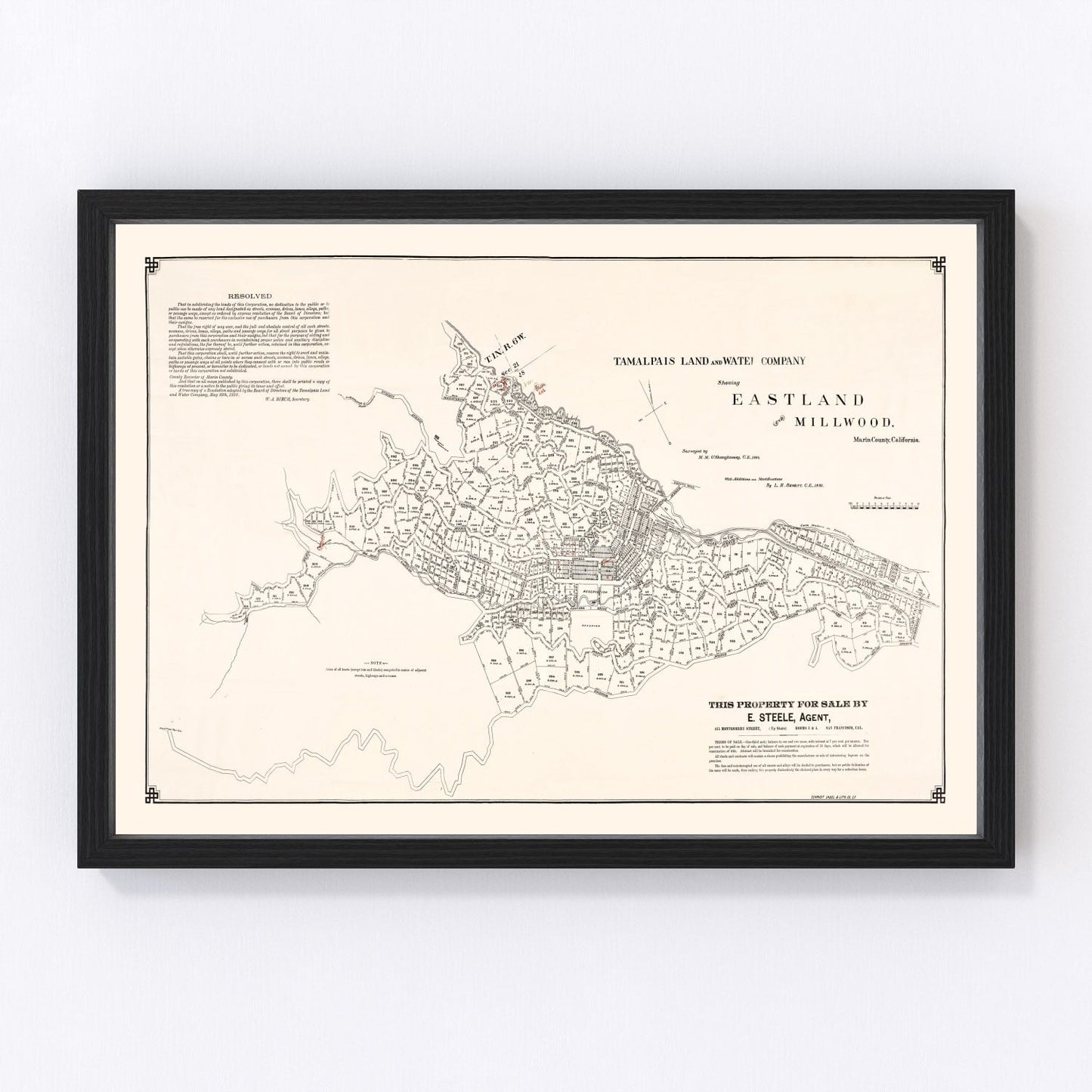Vintage map of Eastland, California, 1889