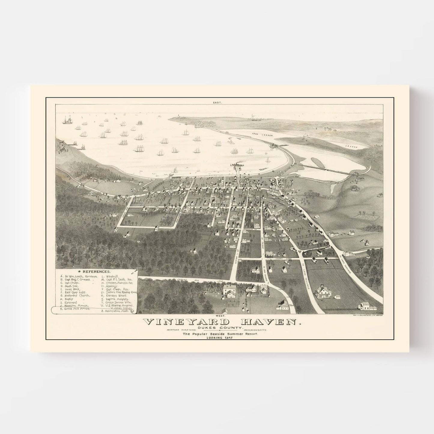 Vintage Vineyard Haven Massachusetts Map, 1893