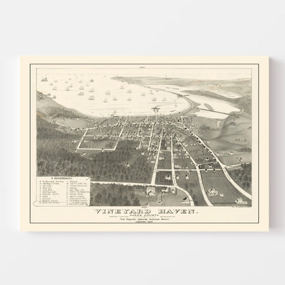 Vintage Vineyard Haven Massachusetts Map, 1893