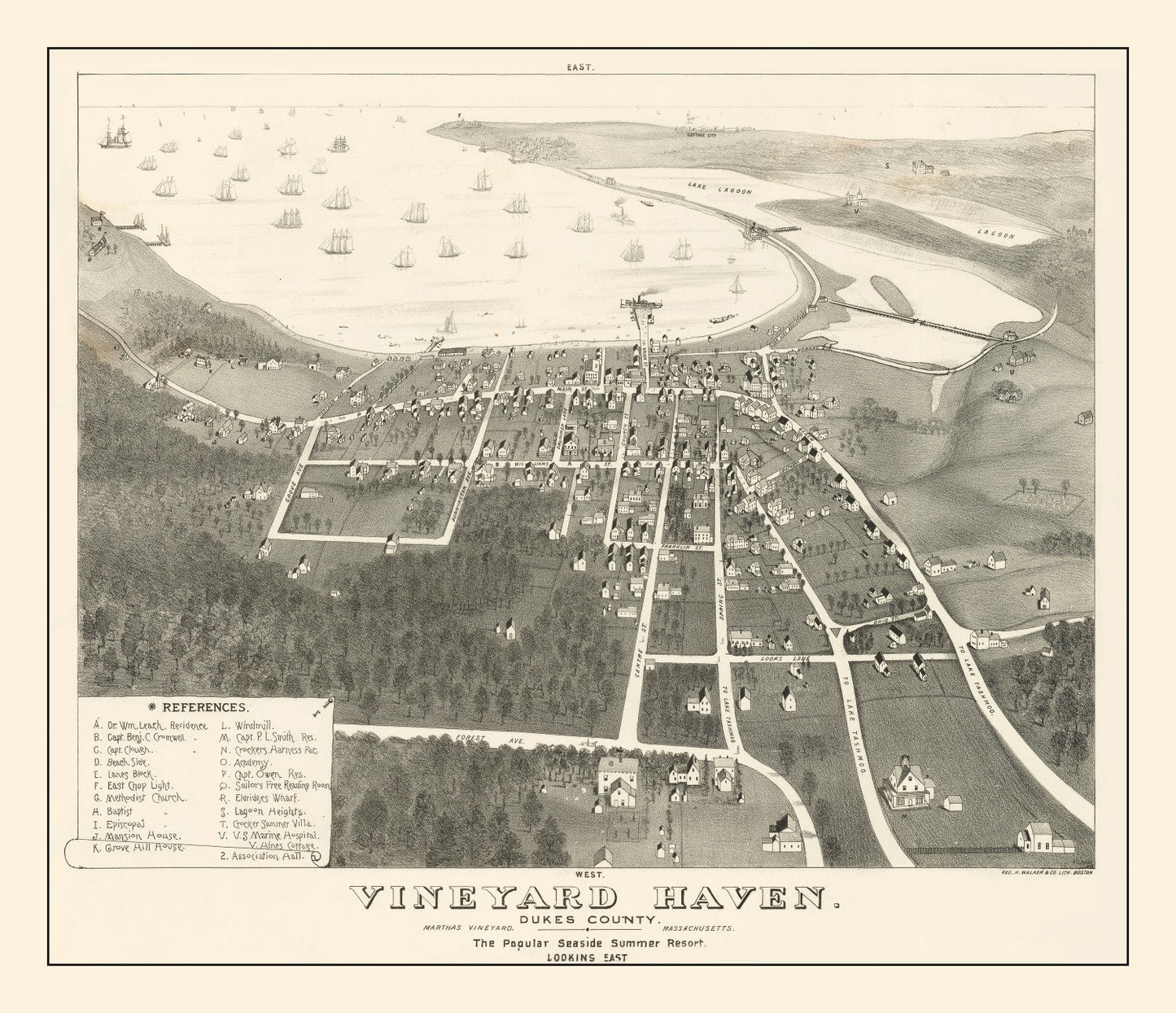 Vintage Vineyard Haven Massachusetts Map, 1893