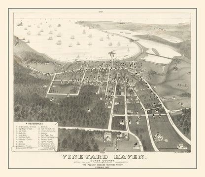 Vintage Vineyard Haven Massachusetts Map, 1893