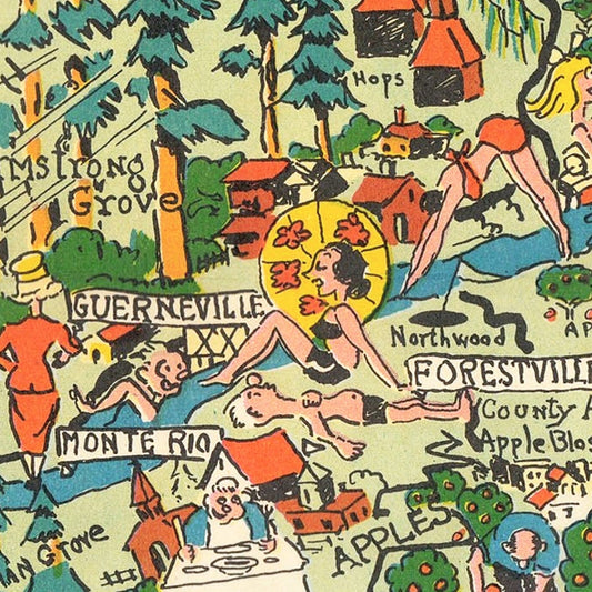 Vintage Map of Sonoma County, California, 1951