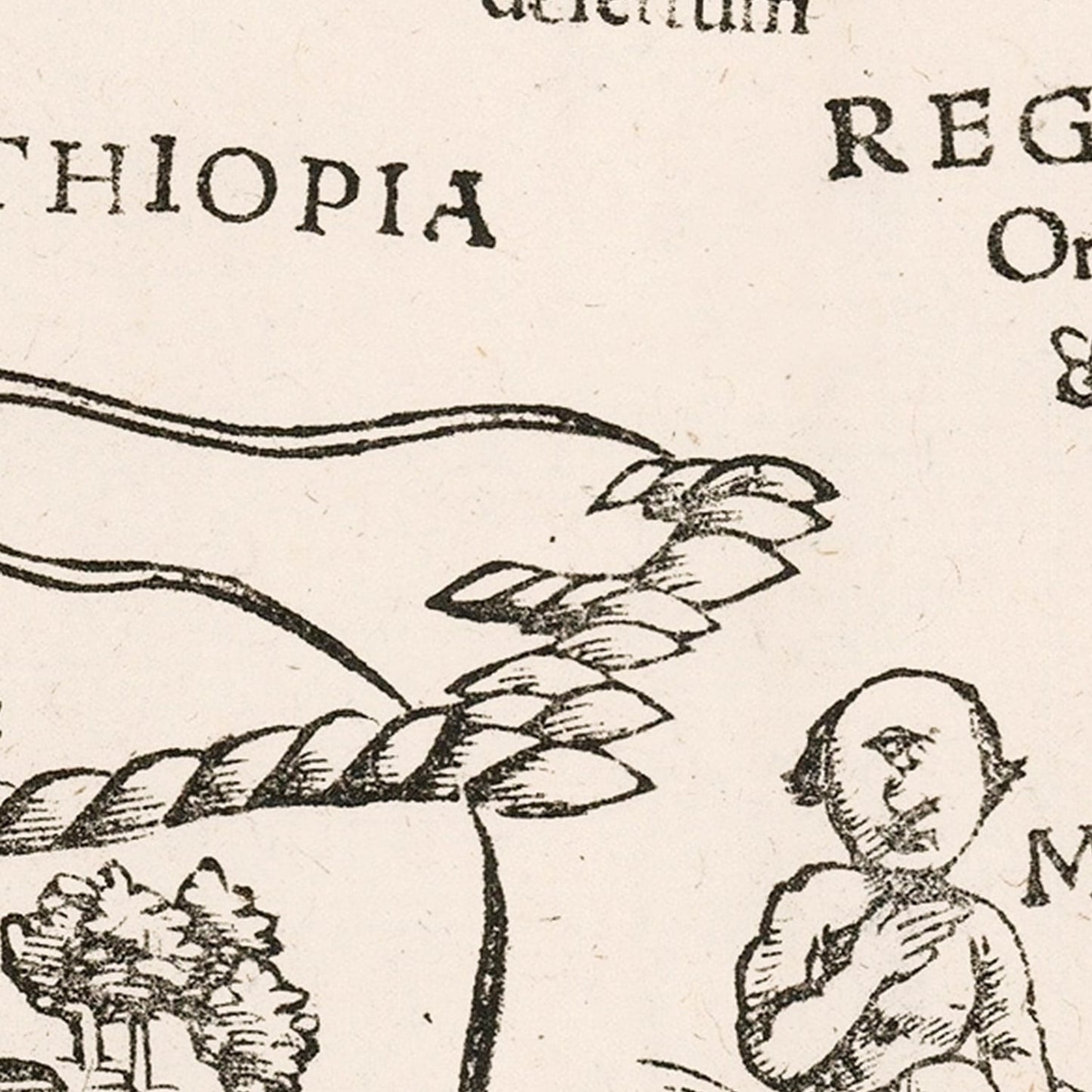 Vintage Map of Africa, 1574