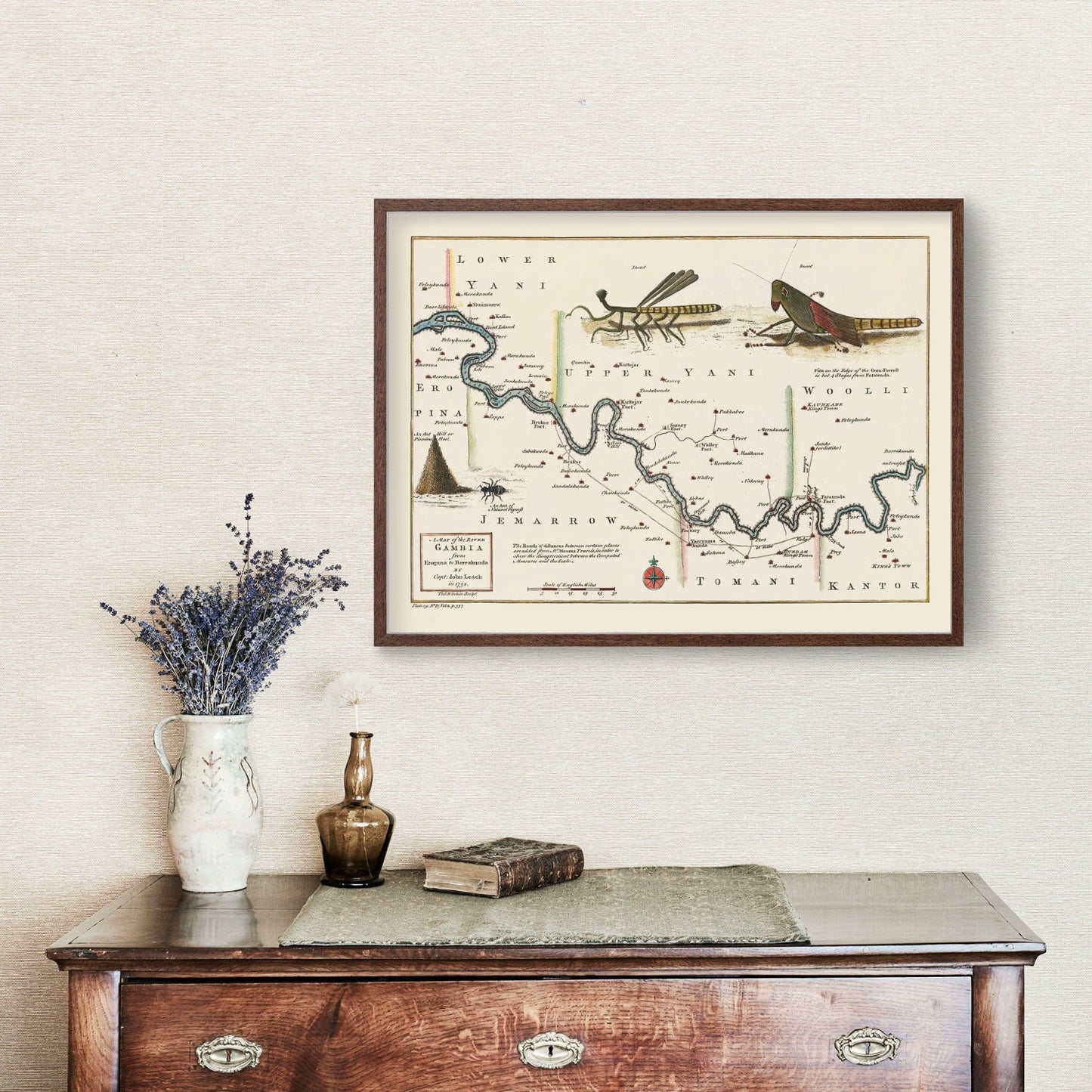 Vintage Map of the Middle Gambia River, 1752