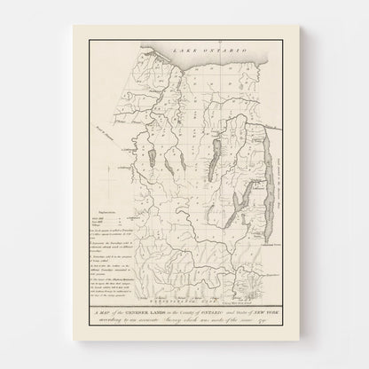 Vintage Finger Lakes Region Map, New York, 1849
