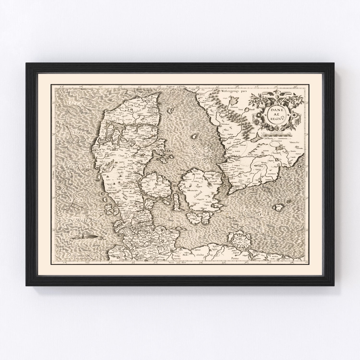 vintage map of Denmark, 1595