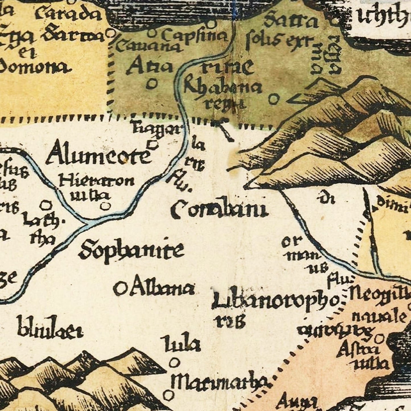 Vintage Map of Arabia, 1513